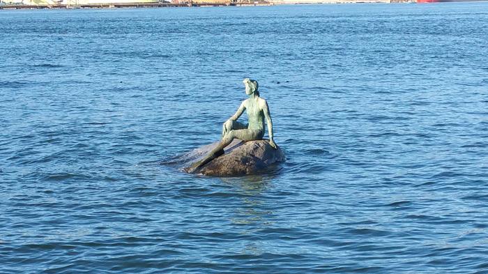 Girl In Wetsuit photo
