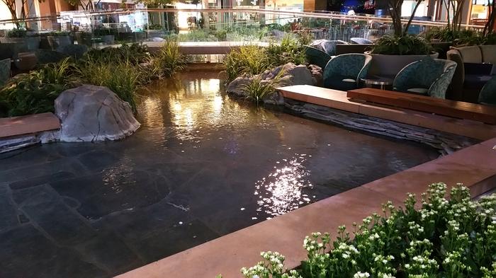 YVR Salmon Run photo