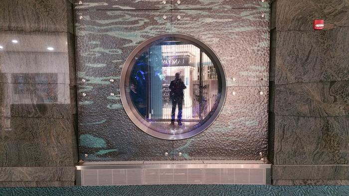 YVR Salmon Run photo