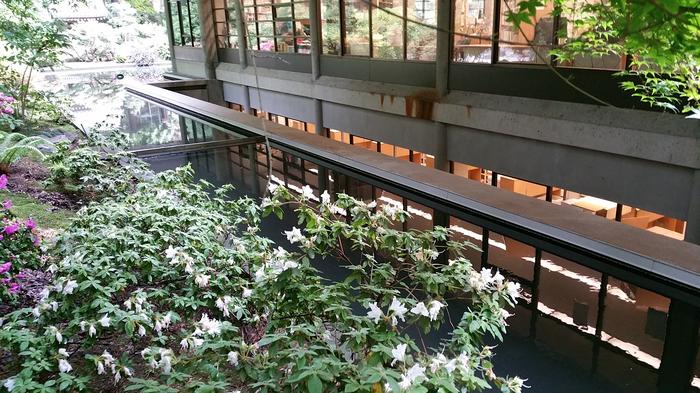 UBC Samurai Moat photo