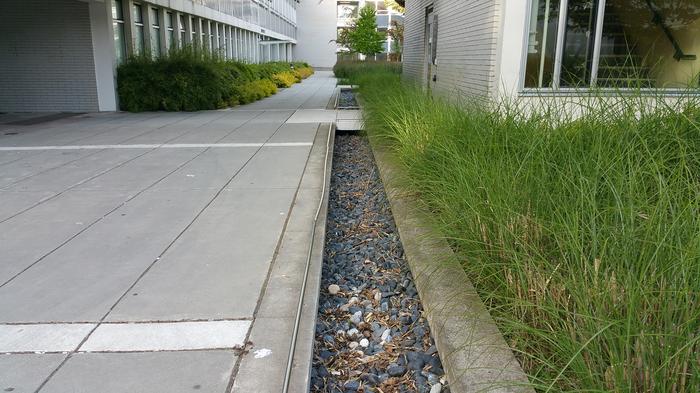 Buchanan Bandstand photo