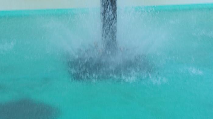 Harman's Transcendence photo