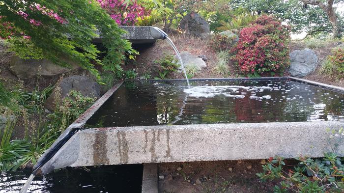 Leon and Thea's Garden Party photo