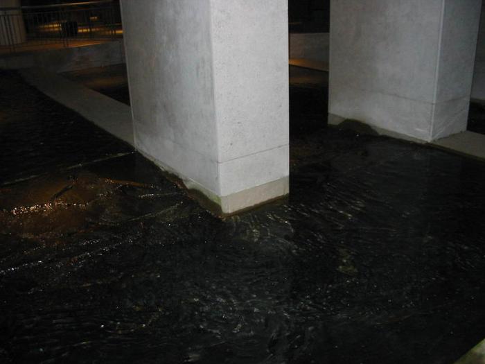 Athenian Delight photo