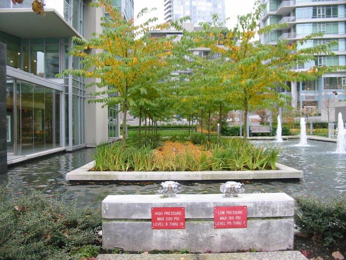 Bayshore Drive photo