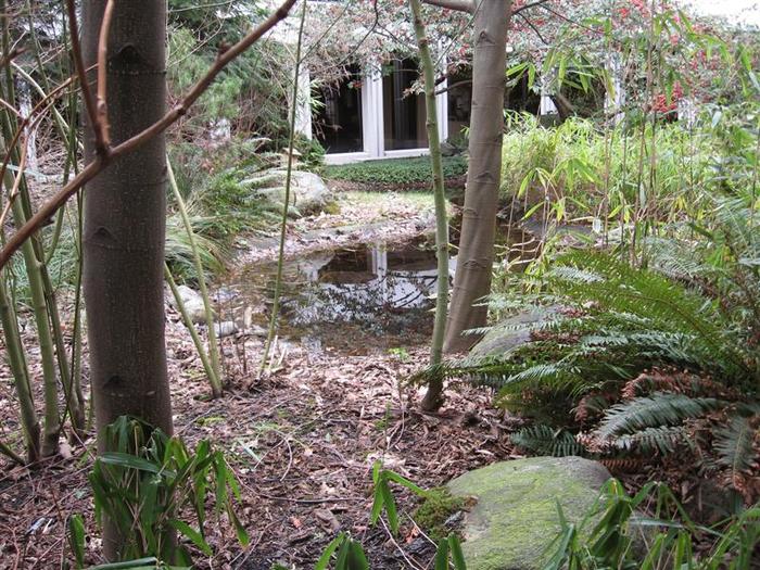 Vancouver Museum Contemplation photo