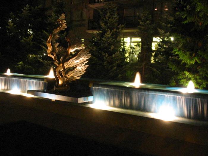 Wind Tree Falls photo