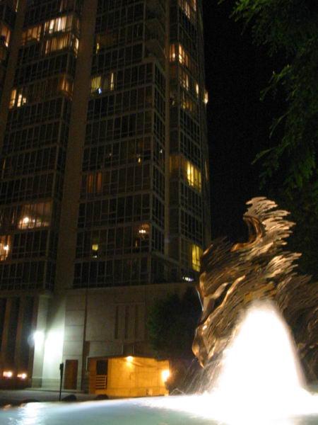 Wind Tree Falls photo