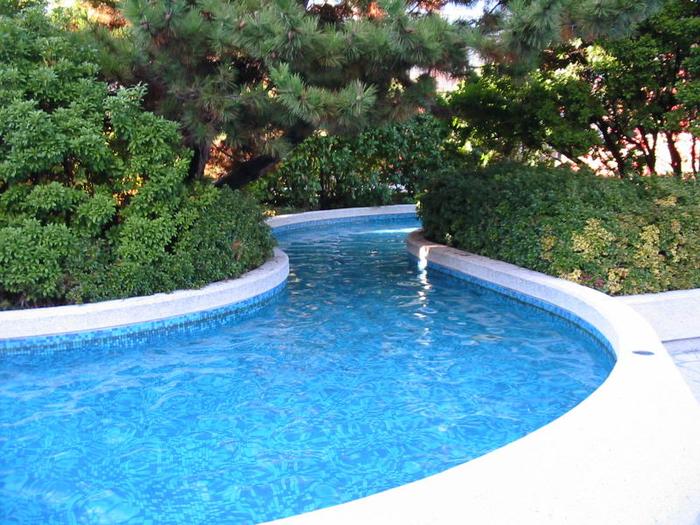 Octo Level Falls photo