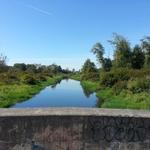 Burnaby Lake photo # 9