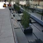 Telus Garden photo # 9