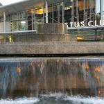 Stone Trough Part 2 photo # 6