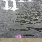 UBC Signature Circle photo # 9