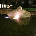 UBC Ladder Marsh photo # 20