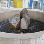 VCC-Clark Haiku Shower