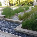 Buchanan Bandstand photo # 6