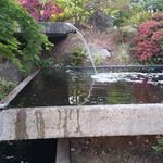 Leon and Thea's Garden Party photo # 7