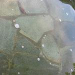 Creekside Aztec photo # 4