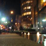 Chihuly Flower Pool photo # 11