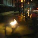 Chihuly Flower Pool photo # 4