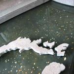 Pan Pacific Rim Map Pool photo # 8