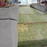 Reptilian Ripple photo # 7