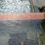 The Discovery photo # 9