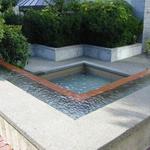 The Discovery photo # 7