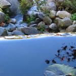 The Lagoons photo # 45