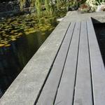 The Lagoons photo # 19