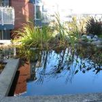 The Lagoons photo # 6