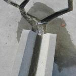 Thunder Chasm photo # 5