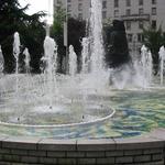 Vancouver Art Gallery photo # 12