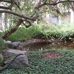 Vancouver Museum Contemplation photo # 11