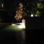 Wind Tree Falls photo # 15