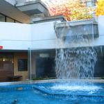 Octo Level Falls photo # 21