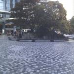 Wall Centre Tree Island